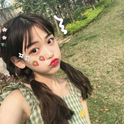 土地之光